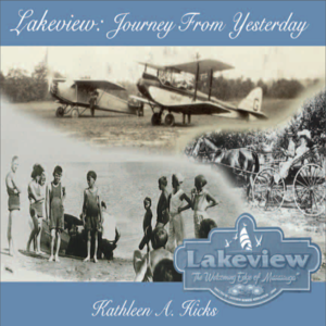 cover image of Lakeview